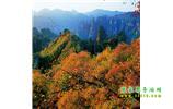 長(zhǎng)沙往返張家界、天子山、寶峰湖/黃龍洞三日游