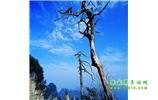 湘西之旅：張家界、天子山、寶峰湖/黃龍洞、鳳凰古城、猛洞河漂流、天門山六日游