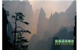 張家界國家森林公園、寶峰湖/黃龍洞、鳳凰古城、三峽八日游