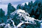 【純玩拼團(tuán)線路18】下午班：鳳凰古城、張家界、天子山三晚四日游