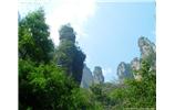 【純玩拼團線路 張家界出發(fā)A2線】張家界、袁家界、天子山、金鞭溪、鳳凰古城2晚3日游